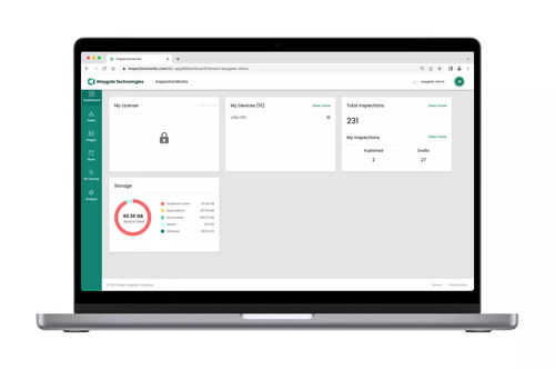 检查用软件 - InspectionWorks Insight - Waygate Technologies - 测量 / 存储 / 数据管理