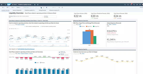 财务管理软件 - S/4HANA Cloud for cash management - SAP - 监控 / 控制 / 报告