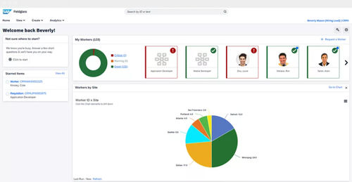 管理软件 - Fieldglass Contingent Workforce Management - SAP - 分析 / 控制 / 报告