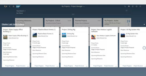 分析软件 - Enterprise Portfolio and Project Management - SAP - 报告 / 规划 / 优化