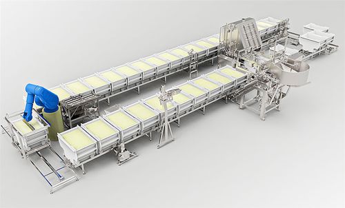 全自动奶酪生产线 - Bassine System - Alpma Alpenland Maschinenbau - 凝固奶酪