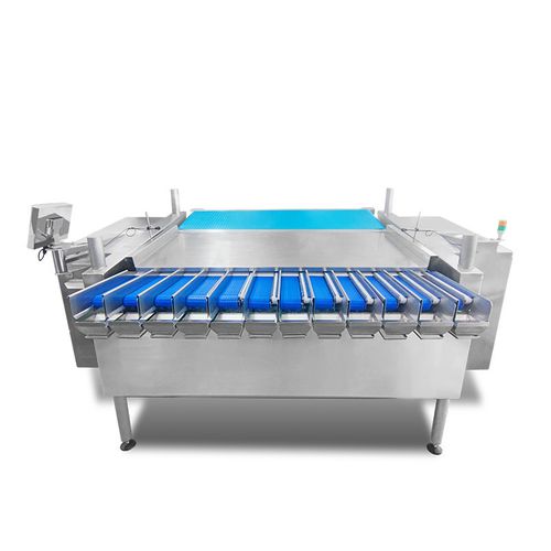 线性称重设备 - TY-ZX122M100-01-11 - Zhongshan TO-U Packaging Machinery Co.,Ltd - 连续式 / 蔬菜 / 自动