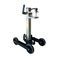 Teledyne ICM