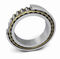 环形滚筒式轴承TORBSchaeffler Technologies AG & Co. KG