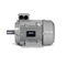 三相电机MPM 30Merkes GmbH - Small Motors