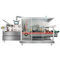 卧式装箱机RD-SPM-480Ruida Packing Machinery Co., Ltd.