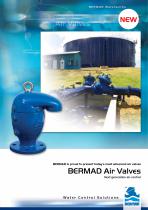 Air Valves