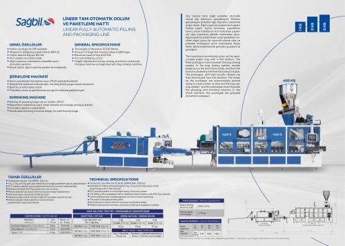 Full Automatic Linear Filling and Packaging Line