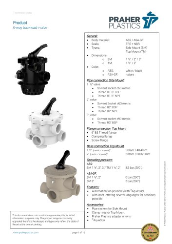 6-way backwash valve