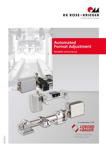 Automated Format Adjustment