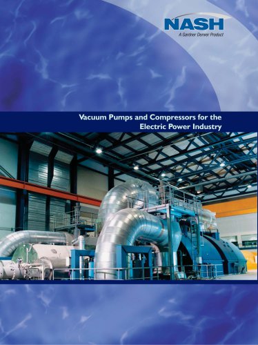 Vacuum Pumps and Compressors for the Electric Power Industry