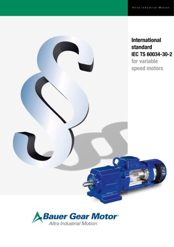 International standard IEC TS 60034-30-2