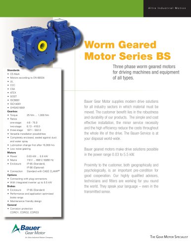 Worm Geared Motor Series BS