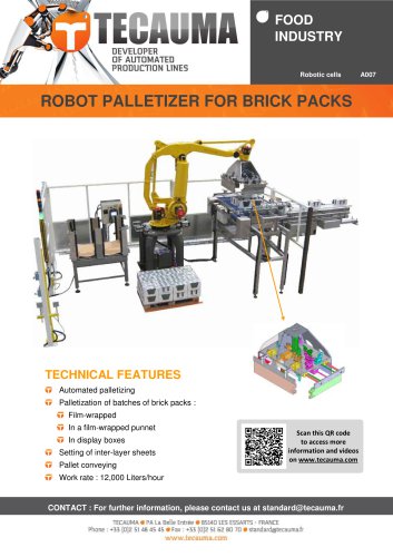 A007 Robot palletizer for brick packs