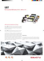 Rechargeable AGM battery