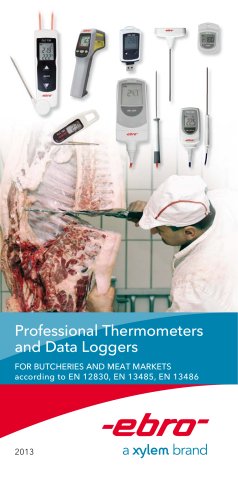 Professional Thermometer and Data Loggers