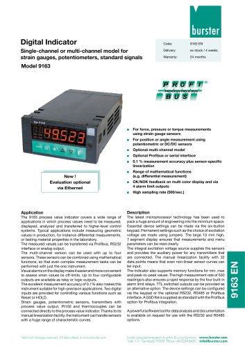 Data-Sheet Digital Indicator Model 9163