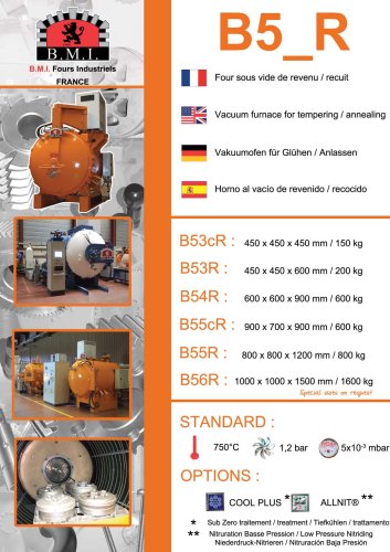 B5_R: vacuum furnace for tempering / annealing