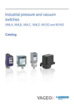 Industrial pressure and vacuum switches