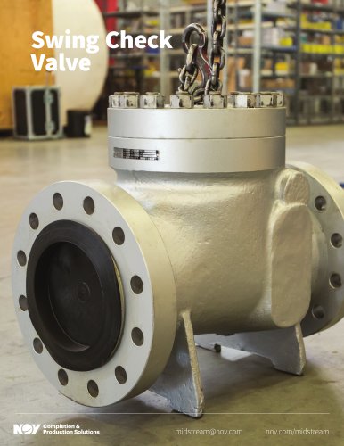 Swing Check Valve Data Sheet