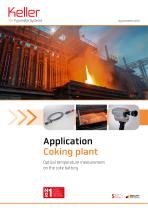 AN Coking plant_ID2538_202606_en