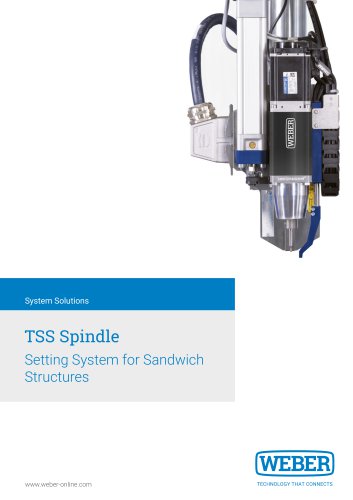 Thermal Setting-System for Multi-Layer Structures - TSS