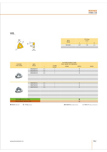 WBMT PCD DIAMOND INSERT