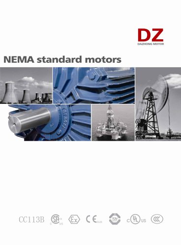 NEMA Standard Electric Motor