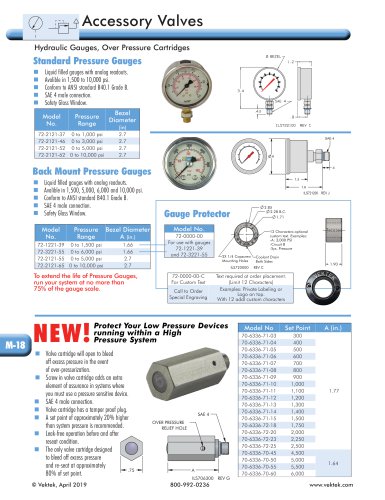 Accessory Valves