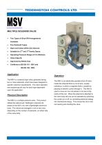 MSV