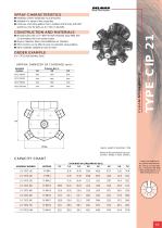 CIP 21