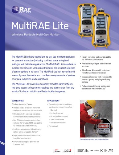 MultiRAE Lite