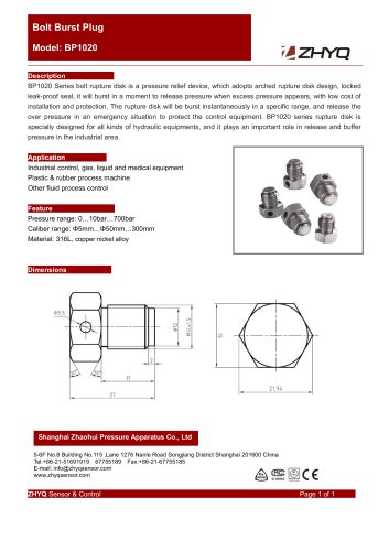 Bolt Burst Plug