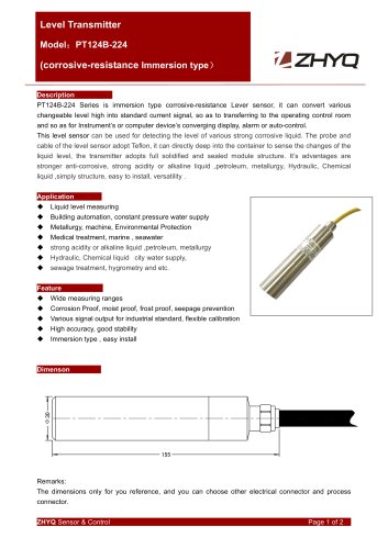 ZHYQ PT124B-224 Level sensor for corrosive application