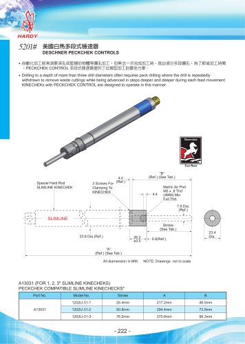 DESCHNER PECKCHEK CONTROLS