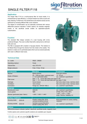 F118 Simplex Basket Filter (Cast Iron)