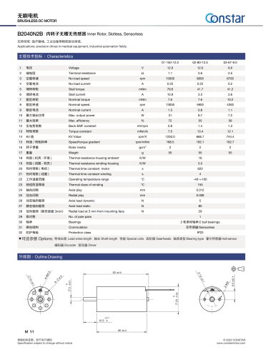 Constar Electric Brushless DC Motor B2040N2B