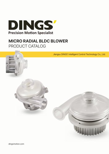 Blower Motor