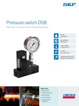 DSB product brochure