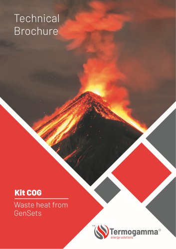 Termogamma kitCOG