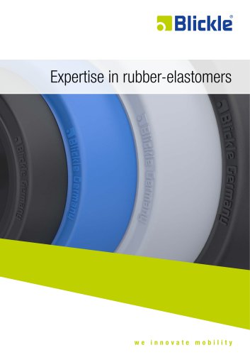 Expertise in rubber-elastomers