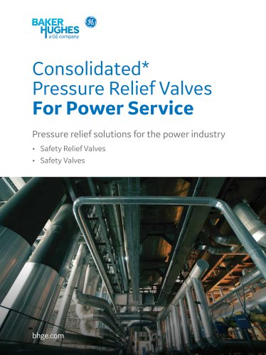 Pressure Relief Valves For Power Service