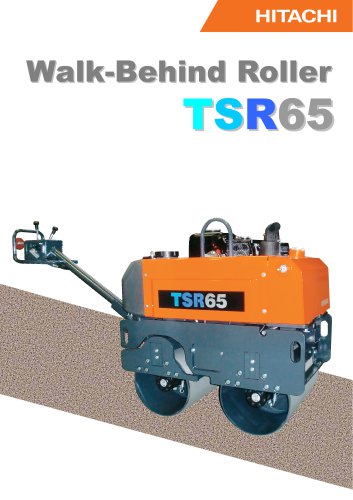 TSR 65