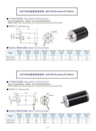 DYD MOTOR_Brushed DC Motor_42ZY85