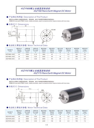 DYD MOTOR_Brushed DC Motor_45ZYN75