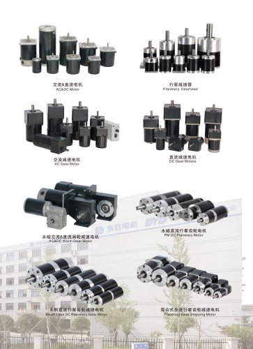 Gear Motors Series