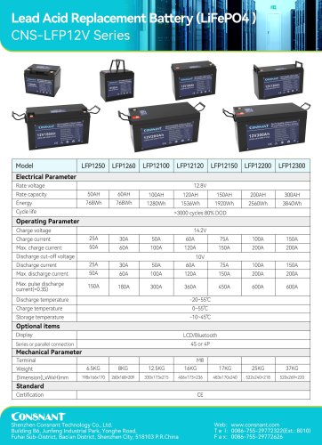 Lithum Battery Pack (LiFePO4)