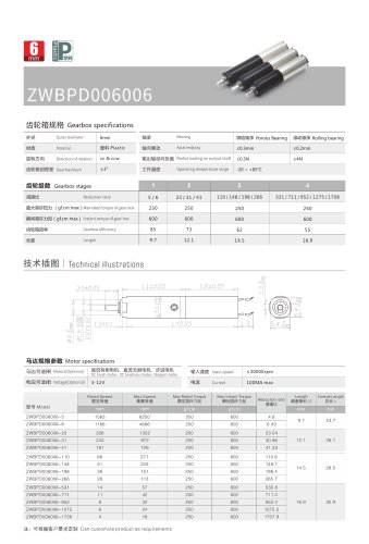 DC motor ZWPD006006