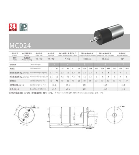 high torque micro spur gear motor