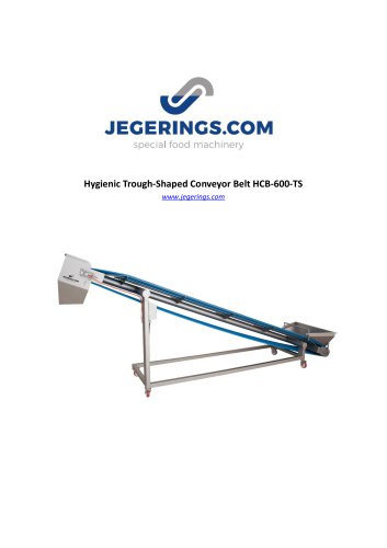 Hygienic Trough-Shaped Conveyor Belt HCB-600-TS